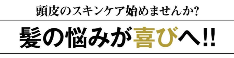 ���є����тɓ��炪�ڊo�߂�V���z�u�u���b�N�V�����v�[�v���T�C�g